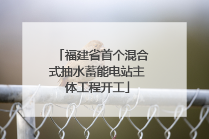 福建省首个混合式抽水蓄能电站主体工程开工