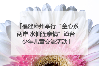 福建漳州举行“童心系两岸·水仙连亲情”漳台少年儿童交流活动