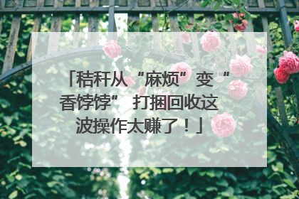 秸秆从“麻烦”变“香饽饽” 打捆回收这波操作太赚了！