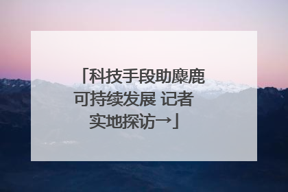 科技手段助麋鹿可持续发展 记者实地探访→