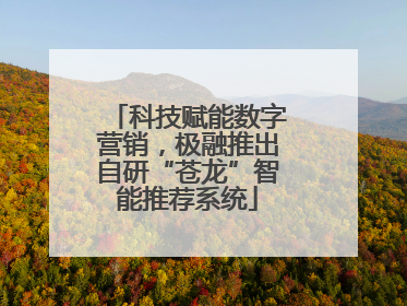 科技赋能数字营销，极融推出自研“苍龙”智能推荐系统