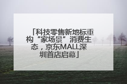 科技零售新地标重构“家场景”消费生态，京东MALL深圳首店启幕