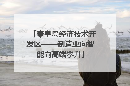 秦皇岛经济技术开发区——制造业向智能向高端攀升