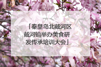 秦皇岛北戴河区戴河镇举办美食研发传承培训大会