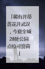 稀有并蒂莲花开武汉，今夏全城28处公园点位可赏荷