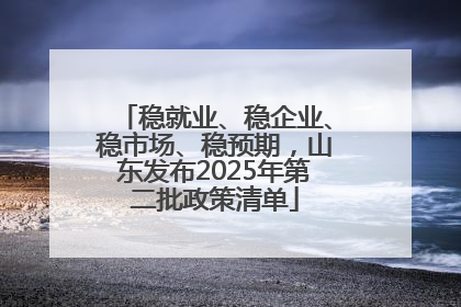 稳就业、稳企业、稳市场、稳预期，山东发布2025年第二批政策清单