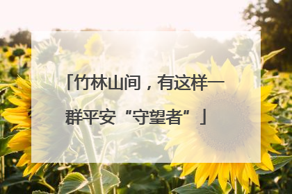 竹林山间，有这样一群平安“守望者”