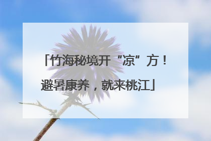 竹海秘境开“凉”方！避暑康养，就来桃江