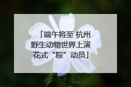 端午将至 杭州野生动物世界上演花式“粽”动员