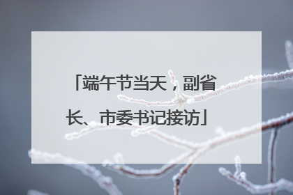 端午节当天，副省长、市委书记接访