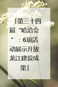 第三十四届“哈洽会”：6项活动展示开放龙江建设成果