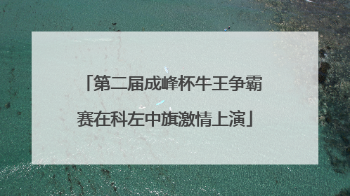 第二届成峰杯牛王争霸赛在科左中旗激情上演