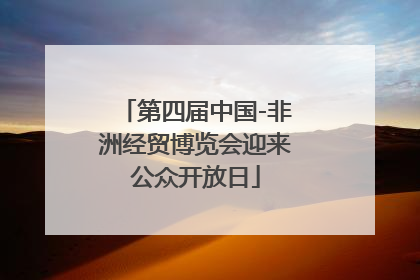 第四届中国-非洲经贸博览会迎来公众开放日