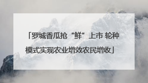 罗城香瓜抢“鲜”上市 轮种模式实现农业增效农民增收