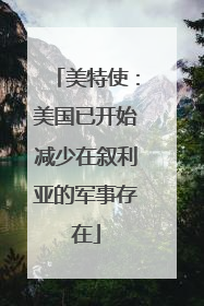美特使：美国已开始减少在叙利亚的军事存在