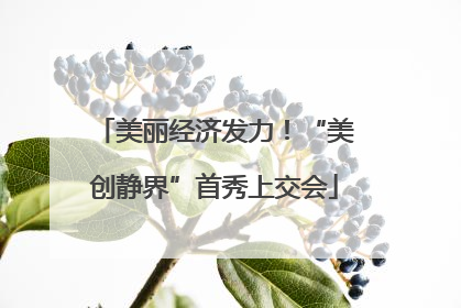 美丽经济发力！“美创静界”首秀上交会