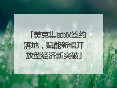 美克集团双签约落地，赋能新疆开放型经济新突破
