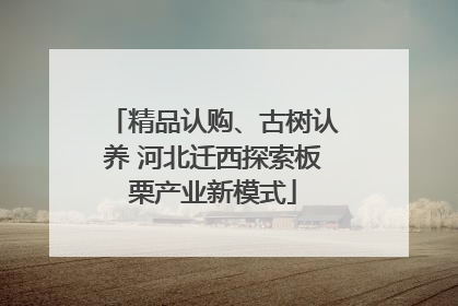 精品认购、古树认养 河北迁西探索板栗产业新模式