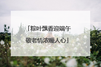 粽叶飘香迎端午 敬老情浓暖人心