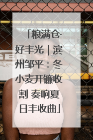 粮满仓·好丰光｜滨州邹平：冬小麦开镰收割 奏响夏日丰收曲