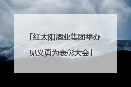 红太阳酒业集团举办见义勇为表彰大会