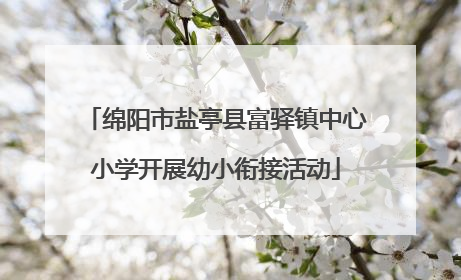 绵阳市盐亭县富驿镇中心小学开展幼小衔接活动