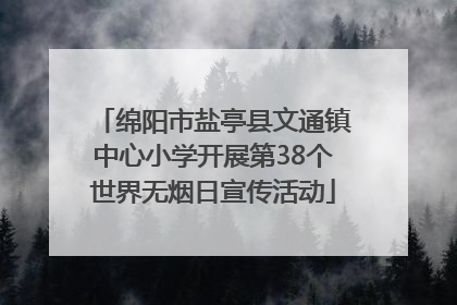 绵阳市盐亭县文通镇中心小学开展第38个世界无烟日宣传活动