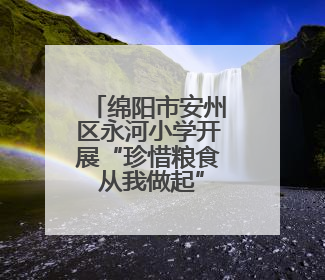绵阳市安州区永河小学开展“珍惜粮食 从我做起”主题教育实践活动
