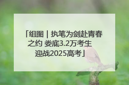 组图｜执笔为剑赴青春之约 娄底3.2万考生迎战2025高考