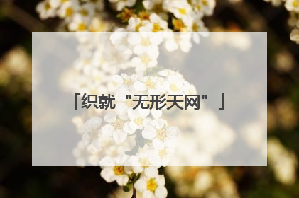 织就“无形天网”
