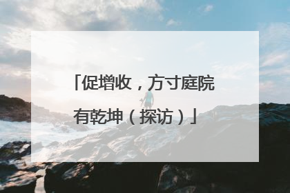 促增收，方寸庭院有乾坤（探访）