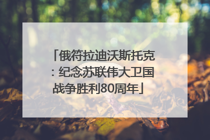俄符拉迪沃斯托克：纪念苏联伟大卫国战争胜利80周年