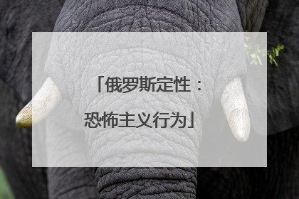 俄罗斯定性：恐怖主义行为