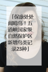 保康处处闻啼鸟！五道峡国家级自然保护区新增鸟类记录23种
