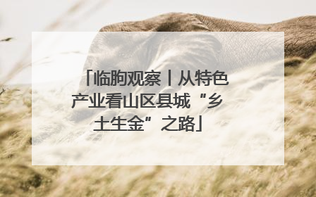 临朐观察丨从特色产业看山区县城“乡土生金”之路