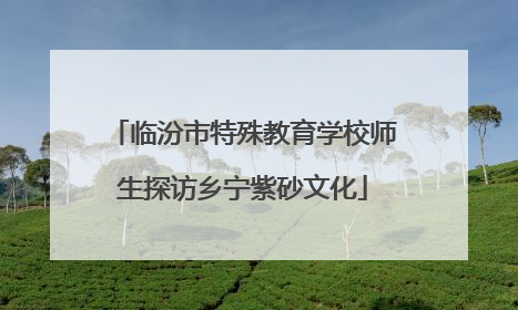 临汾市特殊教育学校师生探访乡宁紫砂文化