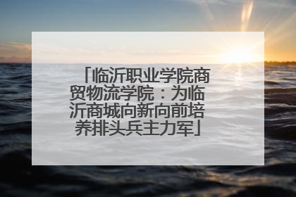 临沂职业学院商贸物流学院：为临沂商城向新向前培养排头兵主力军
