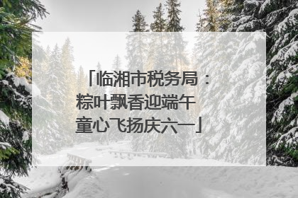 临湘市税务局：粽叶飘香迎端午 童心飞扬庆六一