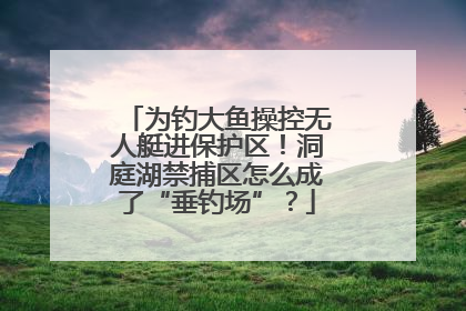 为钓大鱼操控无人艇进保护区！洞庭湖禁捕区怎么成了“垂钓场”？