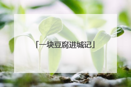 一块豆腐进城记