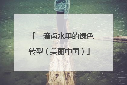 一滴卤水里的绿色转型（美丽中国）