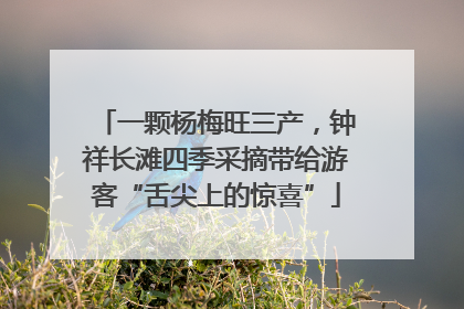一颗杨梅旺三产，钟祥长滩四季采摘带给游客“舌尖上的惊喜”