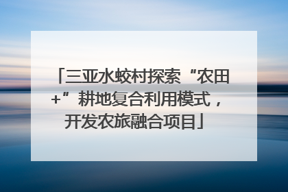 三亚水蛟村探索“农田+”耕地复合利用模式，开发农旅融合项目