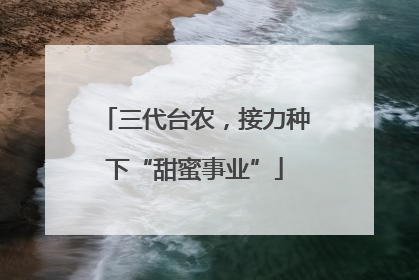 三代台农，接力种下“甜蜜事业”