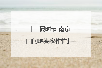 三夏时节 南京田间地头农作忙