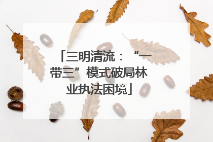 三明清流：“一带三”模式破局林业执法困境