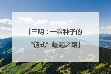 三明：一粒种子的“链式”崛起之路