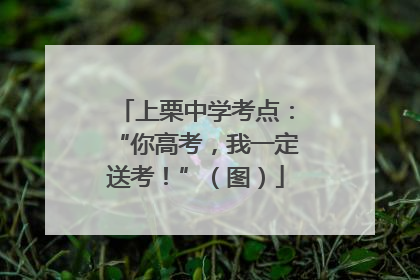上栗中学考点：“你高考，我一定送考！”（图）