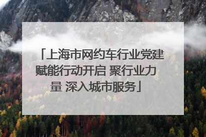 上海市网约车行业党建赋能行动开启 聚行业力量 深入城市服务