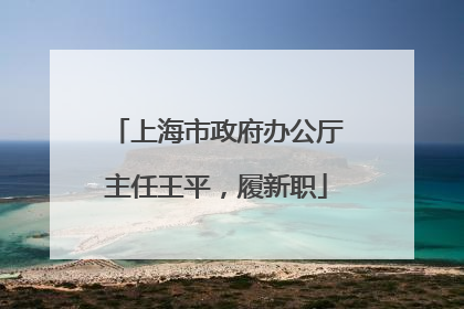 上海市政府办公厅主任王平，履新职